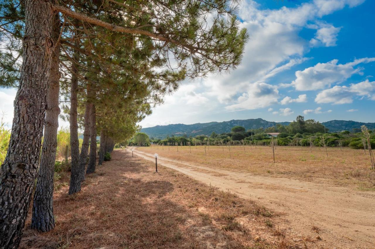 Gli Ulivi Palau - Lu Maccioni Villa Bagian luar foto